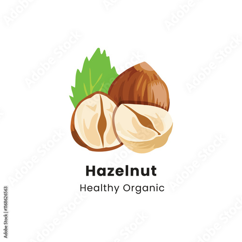 Vector illustration of whole and half brown hazelnut on white background