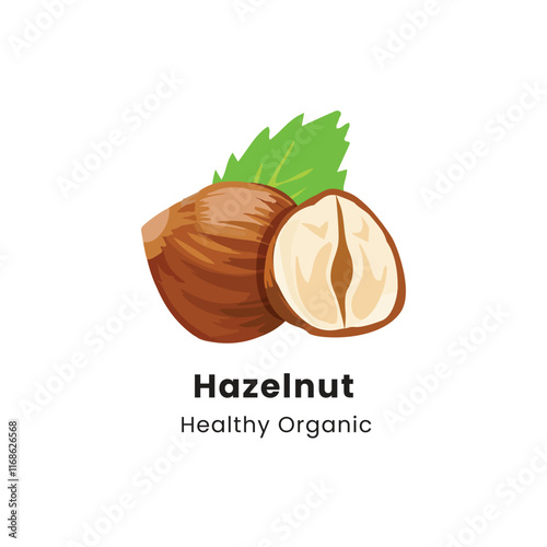 Vector illustration of whole and half brown hazelnut on white background