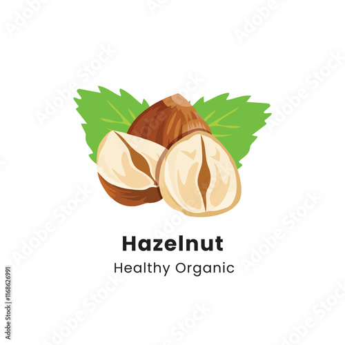 Vector illustration of whole and half brown hazelnut on white background