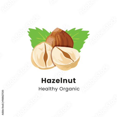 Vector illustration of whole and half brown hazelnut on white background