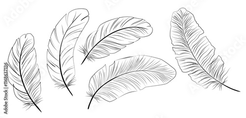 Feather vector stock illustration. Angel. Light, weightless, soft. Isolated on a white background. Black silhouette. 