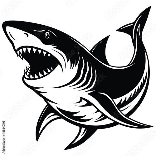 illustration of a shark