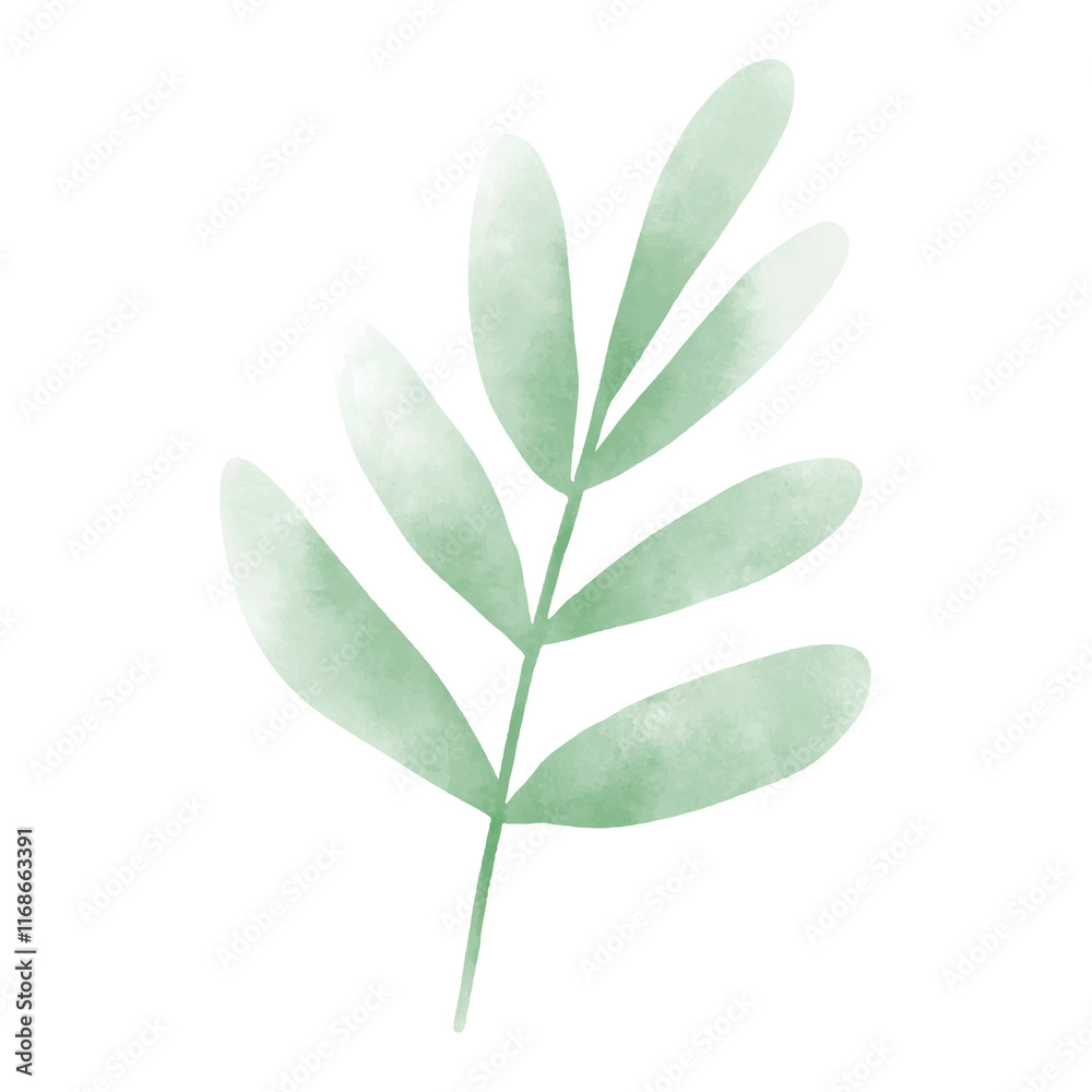 Obraz premium Watercolor leaf png element, transparent background