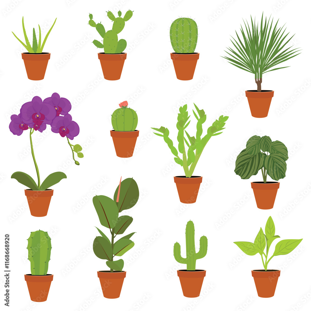 Fototapeta premium Various potted houseplants