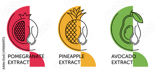 Pomegranate, Pineapple, Avocado extract. Icons set in thin line with geometric decoration