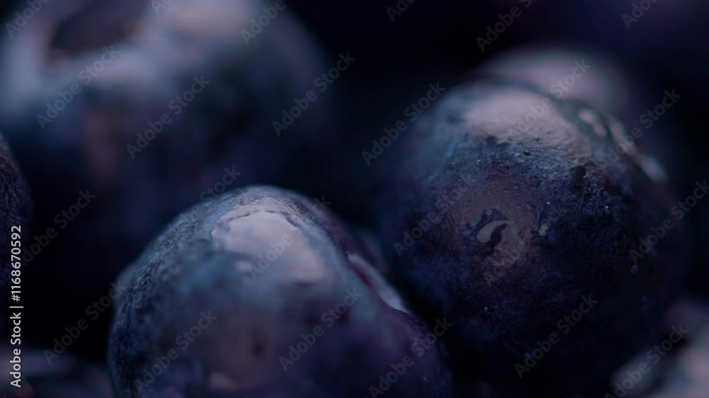 Group of fresh blueberries with extreme close-up shallow depth of field