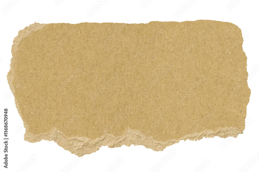 Cardboard torn paper png cut out rectangular strip collage element on transparent background Cardboard torn paper png cut out rectangular strip collage element on transparent background