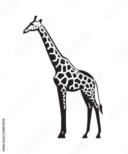 Giraffe silhouette vector with white background photo