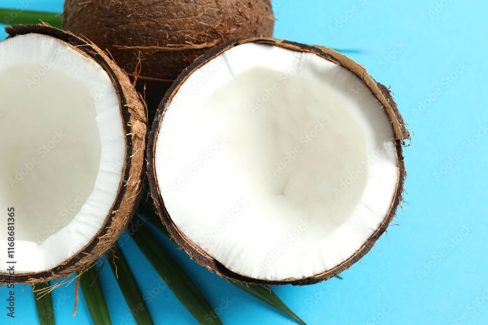 Coconut on color background, top view Coconut on color background, top view