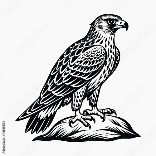 eagle vector illustration