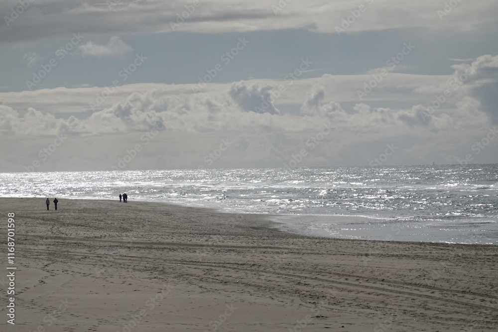 Texel island with the sea Texel island with the sea
