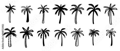 Vector hand drawn palms illustration, hippie boho palm tree surfer style doodle set
