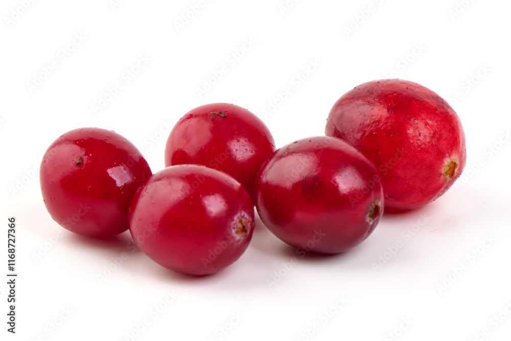 Fresh red cranberries isolated on white background. Fresh red cranberries isolated on white background.