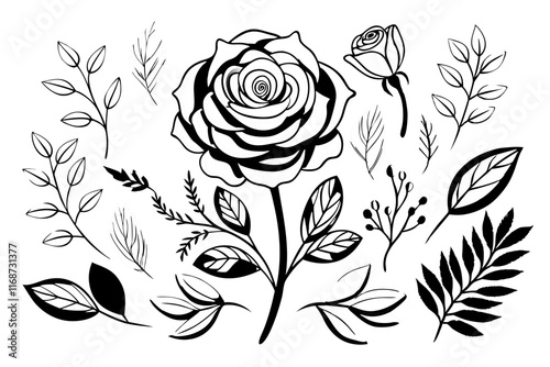 set of roses