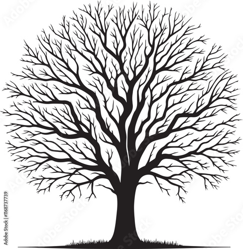 Vector art illustrations of a leafless tree silhouette
