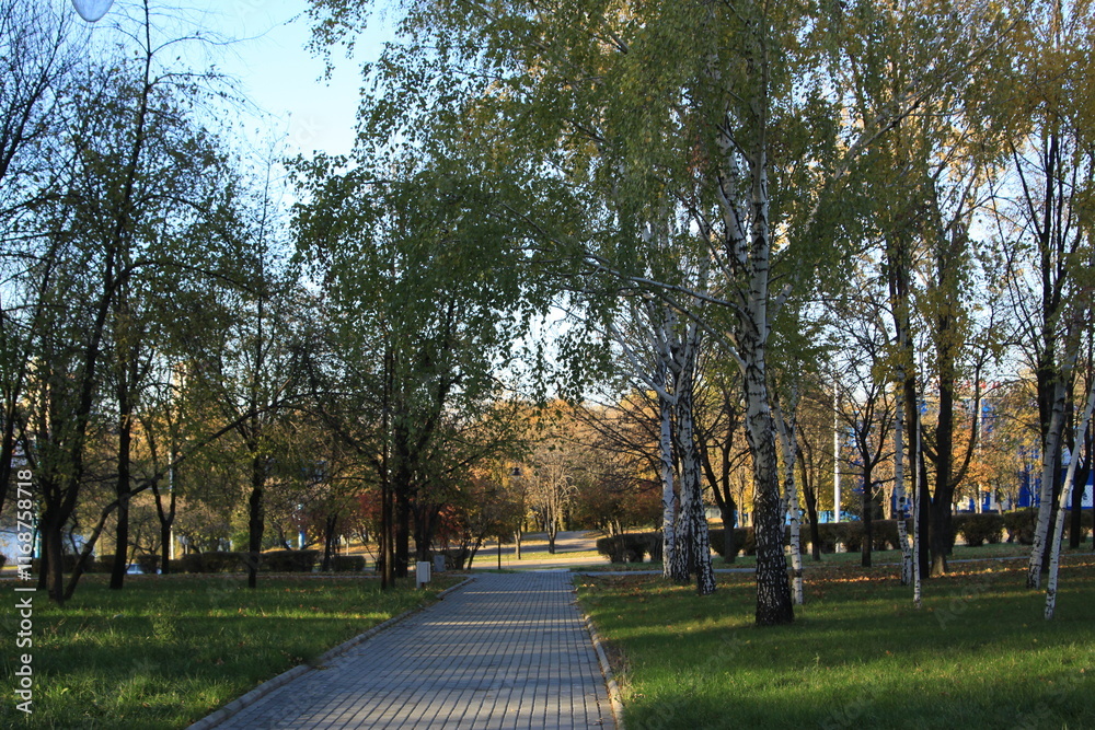 Obraz premium Autumn city