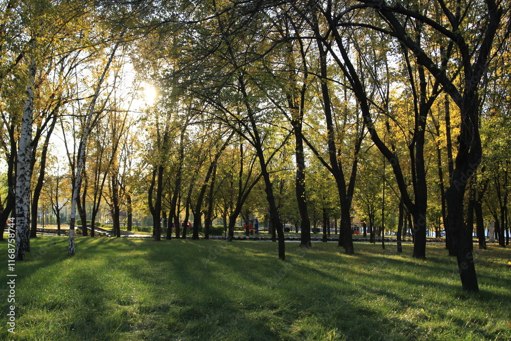 Autumn city