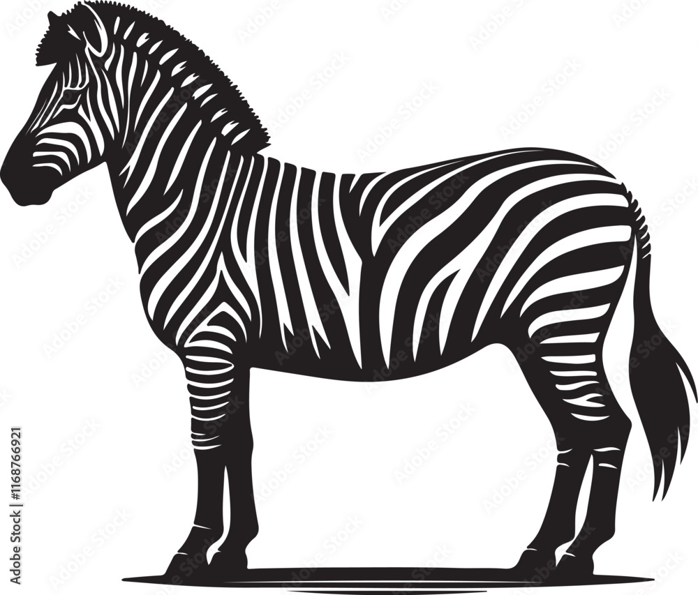 Obraz premium A zebra that is black and white 