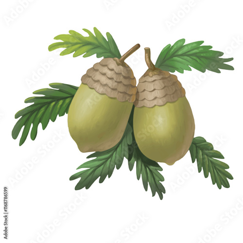 Cute cartoon hand drawn water color vector Acorns clipart.