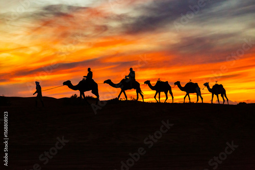 Camel tour silhouettes on a sand hill in colorful evening backlight in a desert in Morocco, North Africa