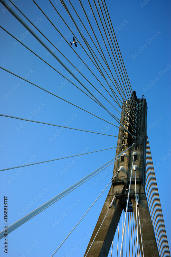 bridge construction of the bridge with pylons Warsaw bridge construction of the bridge with pylons Warsaw