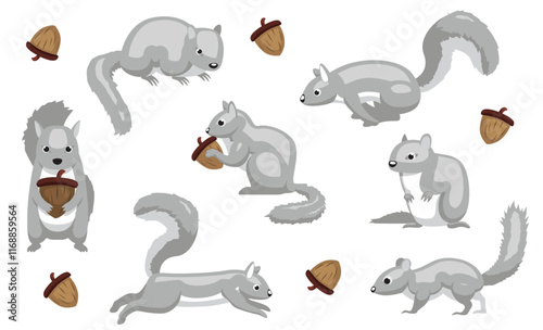 Grey Squirrel Isolated Vector Cartoon Character Various Poses