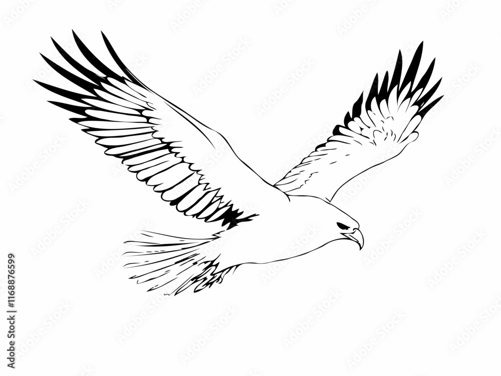 Fototapeta premium dove in flight