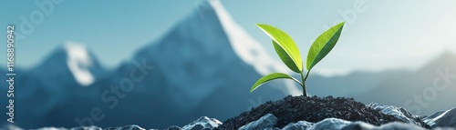 A small green plant emerges from rich soil against a stunning mountain backdrop, symbolizing growth and resilience in nature. photo