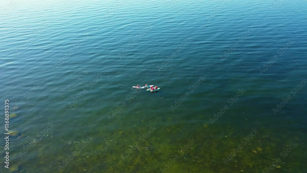 People row canoes on the lake .Aerial 4K video from drone .Estonia, Paldiski. (Series) People row canoes on the lake .Aerial 4K video from drone .Estonia, Paldiski. (Series)