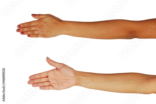Woman Hands, woman hands front and back,  hand cutout on transparent background, cutout for advertising, medical health care publications