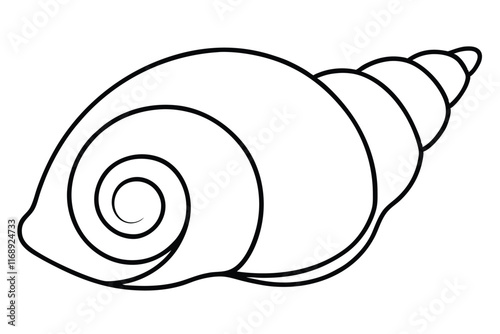 Sea snail shell line art vector illustration
