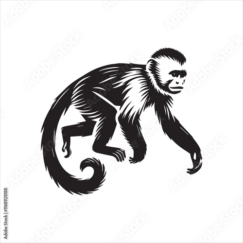 black and white illustration of a tamarin photo