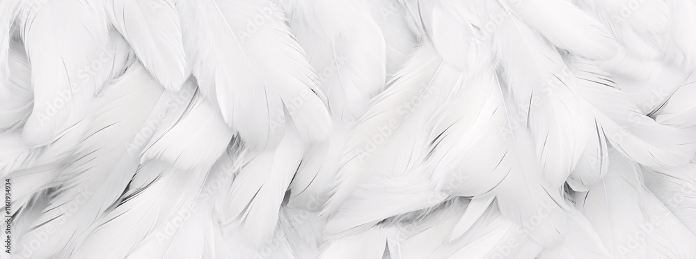 Obraz premium Closeup, white and feathers background for peace, religion and hope. feather for creative banner. Soft touch. Products from feathers 