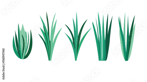 Grass borders with isolated herbs and plants for gardens, lawns, or farms. Vector of lush foliage and leaves, representing summer or spring growth.