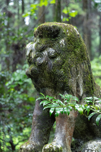 Colorful view of Kumanoza Shrine, moss-covered stone lions, photographed in Aso, Kumamoto Prefecture, Japan photo