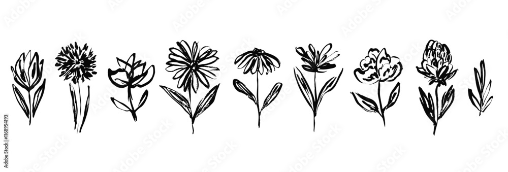 Set of artistic hand drawn black ink daisy rose or peony flowers and leaves. Linear sketch drawing vector daisy floral textured elements for pattern design, greeting cards, logo, tattoo, sticker