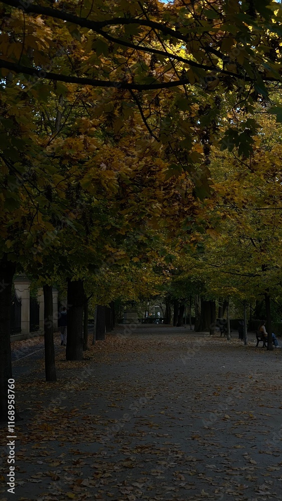 Park alley with fallen leaves and autumn trees. Park alley with fallen leaves and autumn trees.