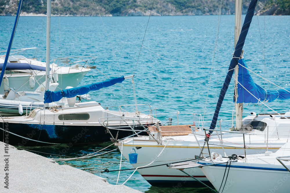 Fototapeta premium Group of sailboats are docked in the water