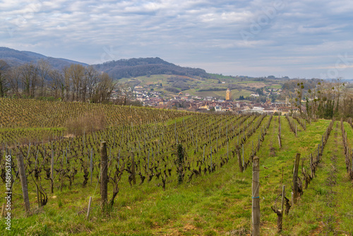 Vineyards with Arbois town, Department Jura, Franche-Comte, France photo