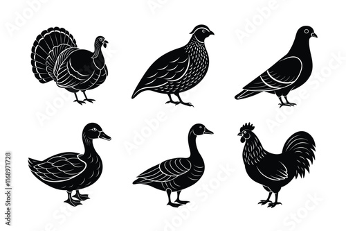 Bird domestic animal silhouette vector bundle