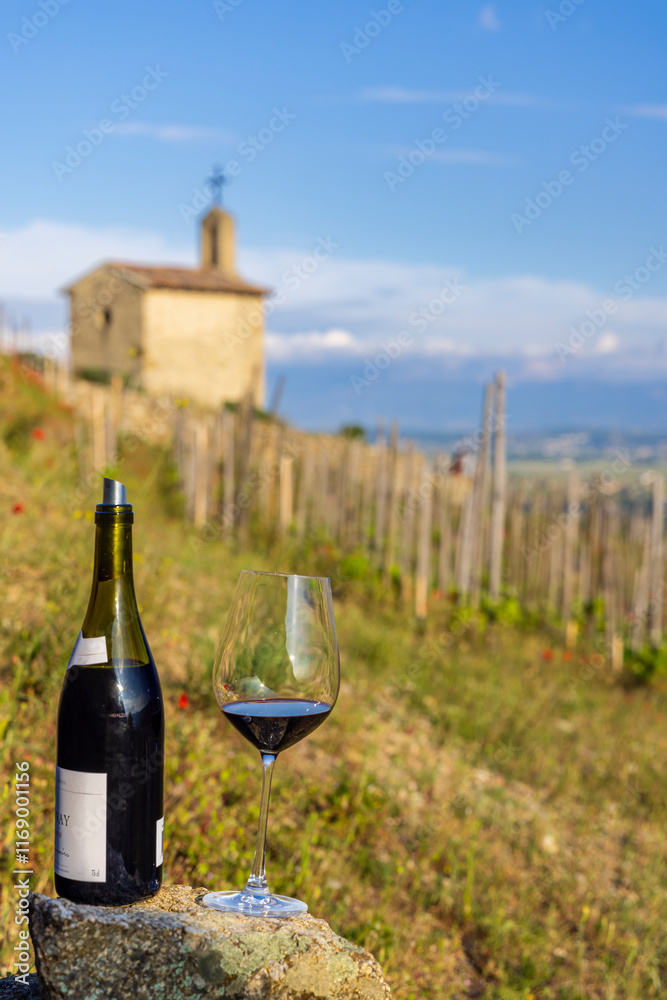 Grand cru vineyard and Chapel of Saint Christopher, Tain l'Hermitage, Rhone-Alpes, France Grand cru vineyard and Chapel of Saint Christopher, Tain l'Hermitage, Rhone-Alpes, France