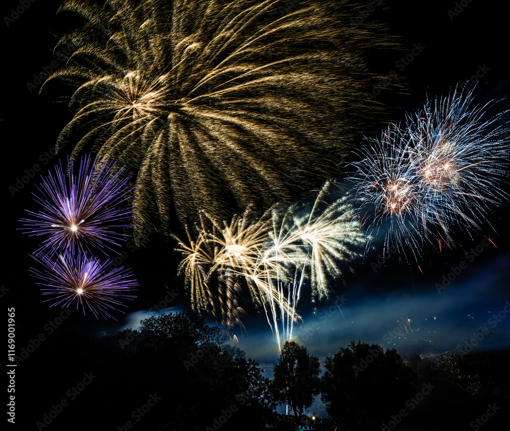 Firework display at a festival
