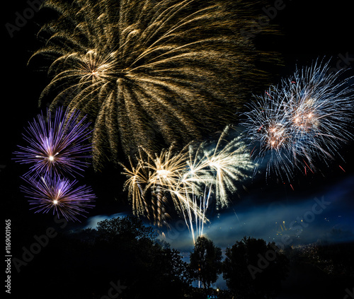 Obraz na płótnie Firework display at a festival w salonie