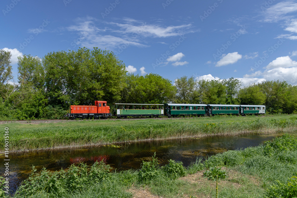 Narrow gauge railway from Balatonfenyves to Csisztafurdo near Balaton, Somogy region, Hungary Narrow gauge railway from Balatonfenyves to Csisztafurdo near Balaton, Somogy region, Hungary