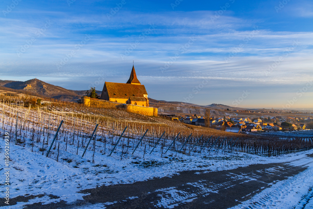 Φωτογραφία Typical vineyard near Hunawihr near Ribeauville Riquewihr, Haut-Rhin, Region Gra