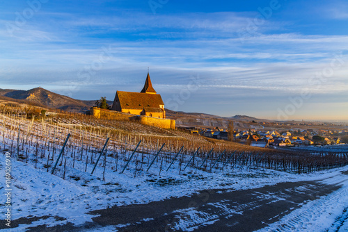 Typical vineyard near Hunawihr near Ribeauville Riquewihr, Haut-Rhin, Region Grand Est, Alsace, France photo