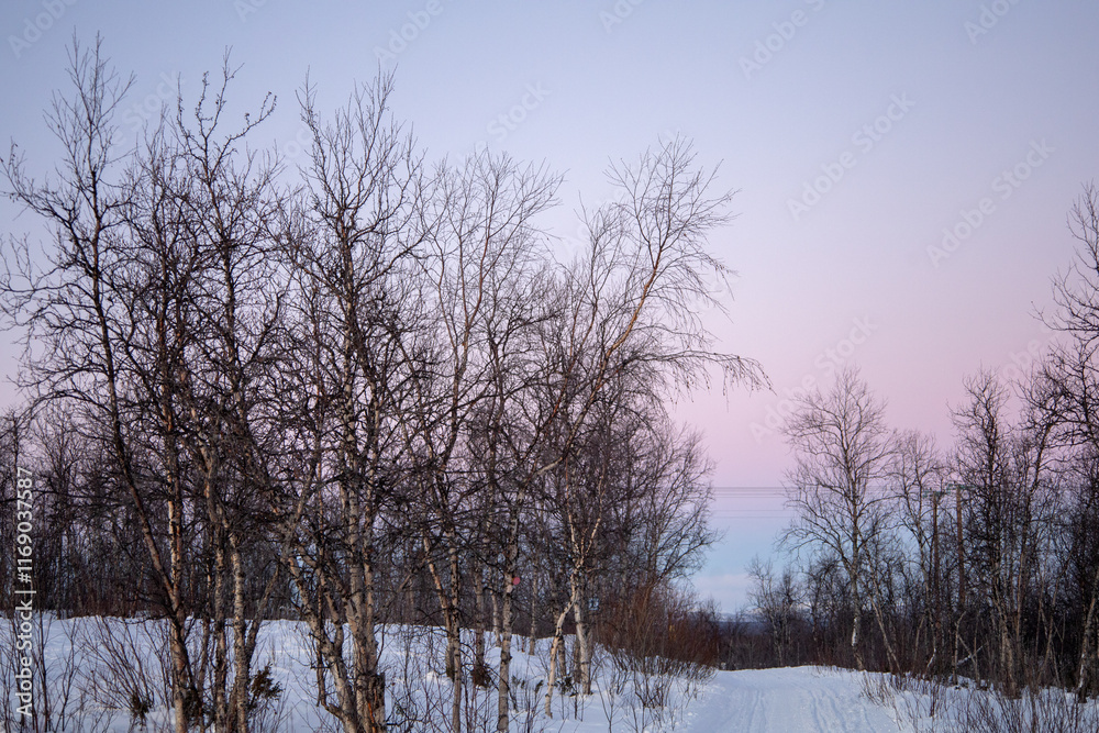 Winter wonderland in Swedish Lapland. Winter landscape from Kiruna, Luossuvaara area. Winter wonderland in Swedish Lapland. Winter landscape from Kiruna, Luossuvaara area.