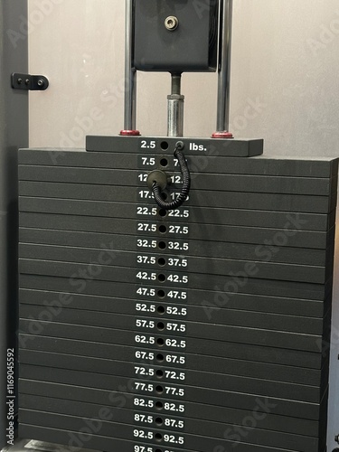 Weights at a gym