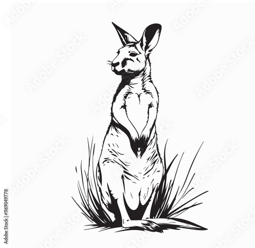 Kangaroo standing sketch Vector Image isolated on white background.