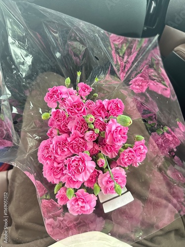 A bouquet of pink carnations 